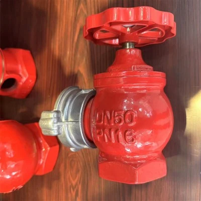 50MM Indoor Fire Hydrant SN50