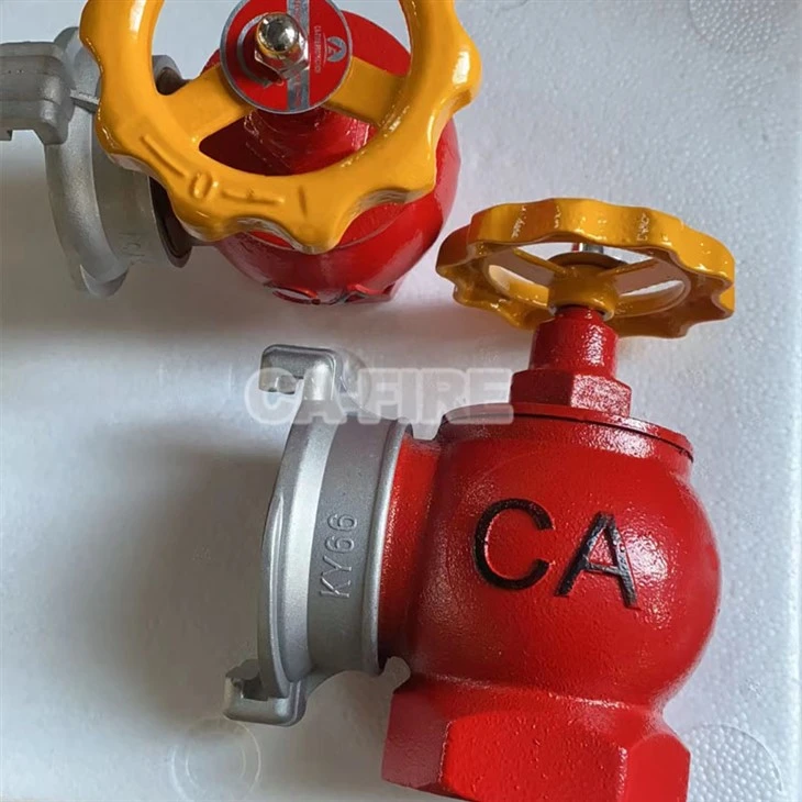 Fire Landing Valves
